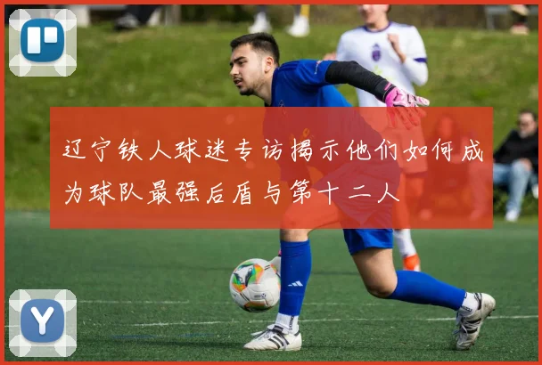 辽宁铁人球迷专访揭示他们如何成为球队最强后盾与第十二人